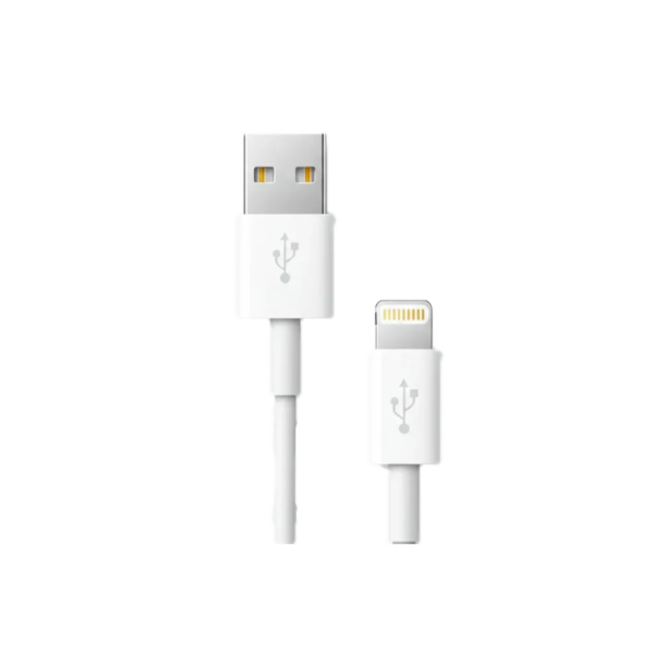 Apple Lightning auf USB-C Kabel (1m)