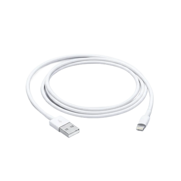 Apple Lightning auf USB-C Kabel (1m)