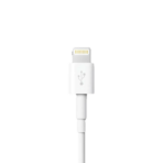 Apple Lightning auf USB-C Kabel (1m)