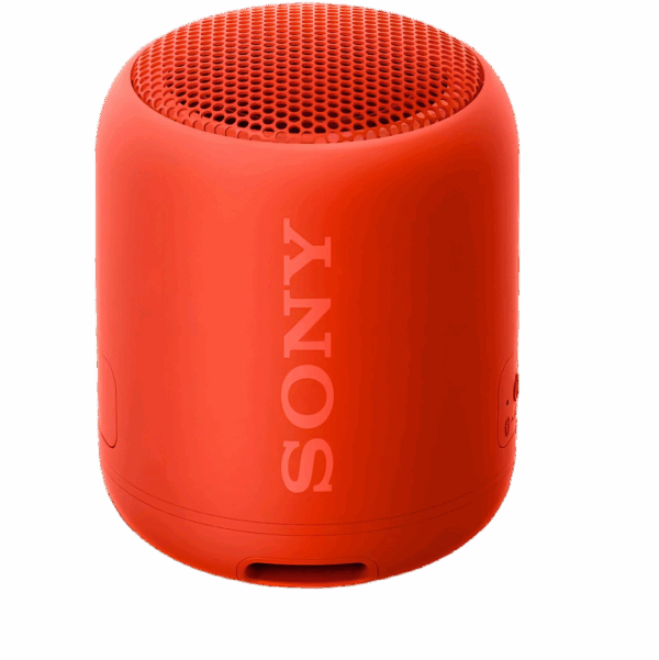 Sony SRS-XB12 Wireless Speaker
